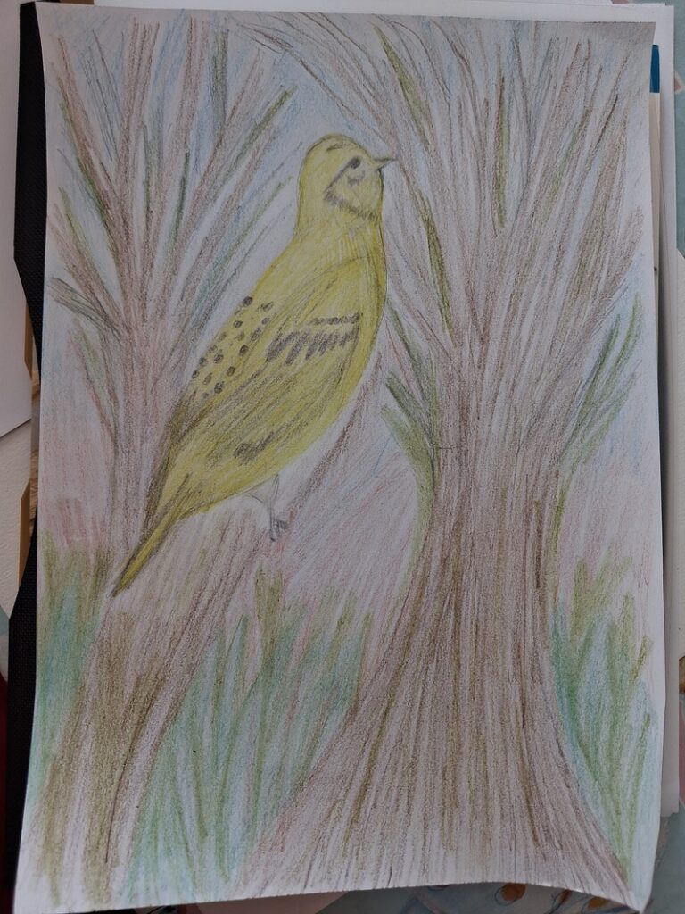 Craft Corner - 9 August 2026