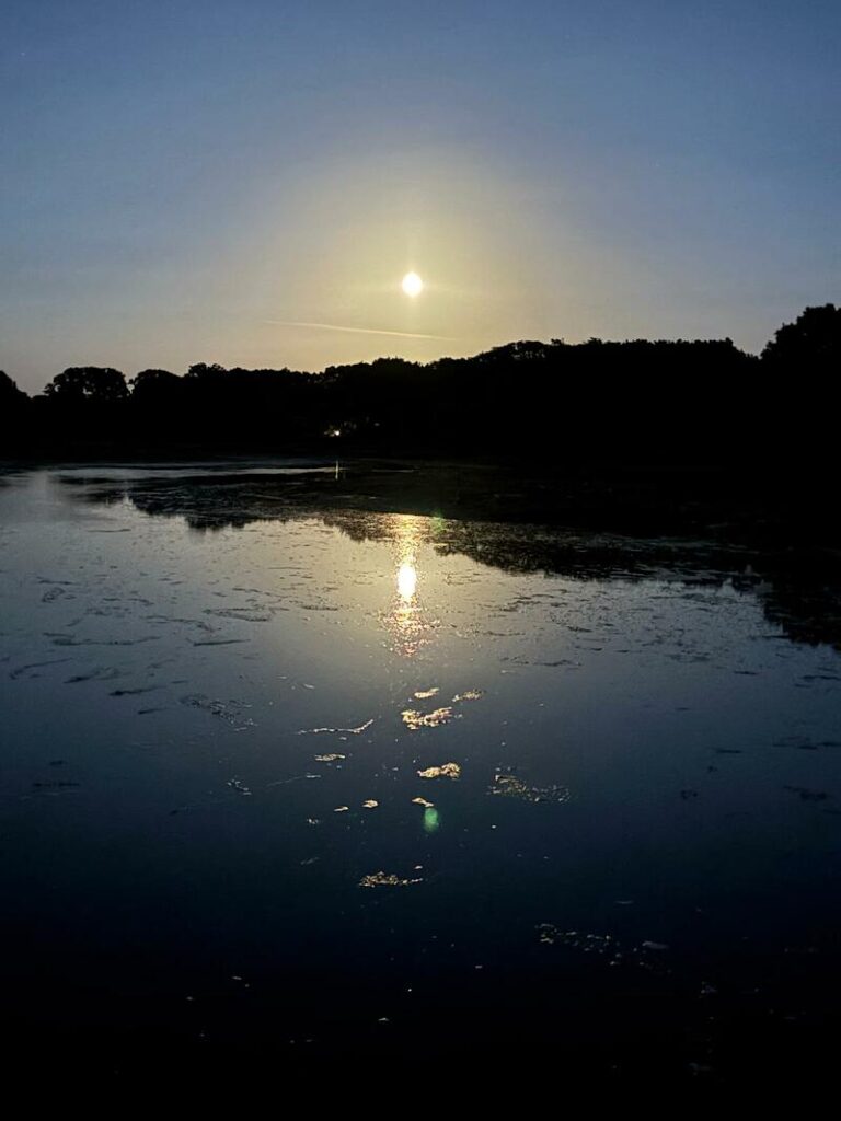 Overnight Cruise to Corf Camp - 8 to 10 August 2025