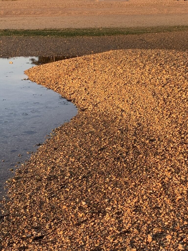 Shingle Bank - 29 March 2021