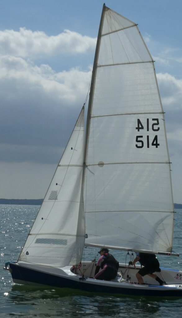 Summer 6 - 23 August 2025